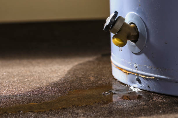 Best Fire Damage Restoration  in Buhl, ID