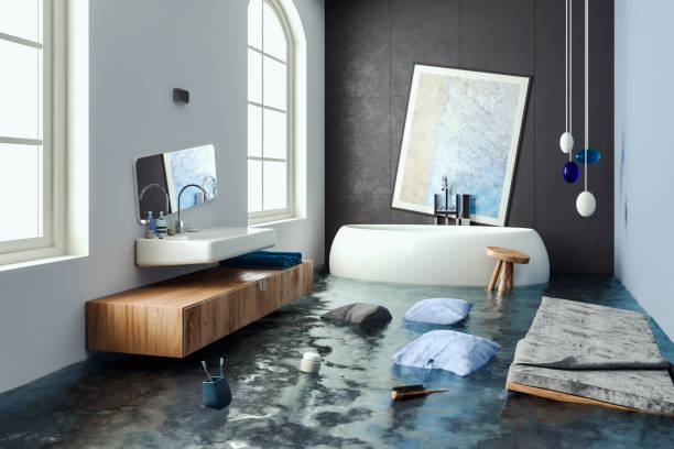 Best Water damage restoration company  in Buhl, ID