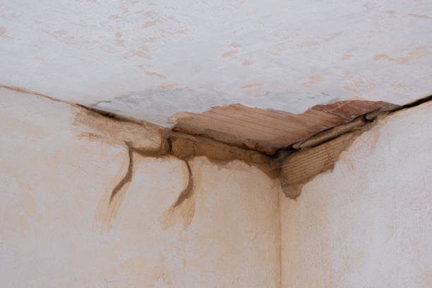 Best Flood damage cleanup  in Buhl, ID