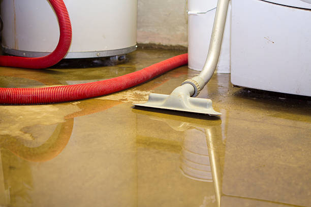 Best Flooded house restoration  in Buhl, ID