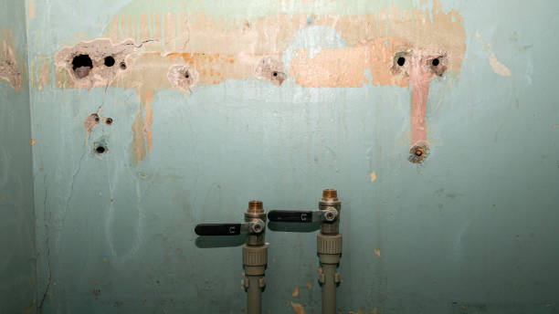 , ID Water damage restoration Company