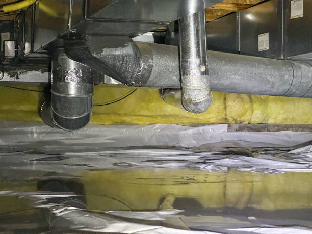 Best Water damage restoration near me  in Buhl, ID