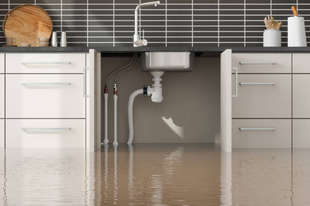 Best Water damage repair service  in Buhl, ID