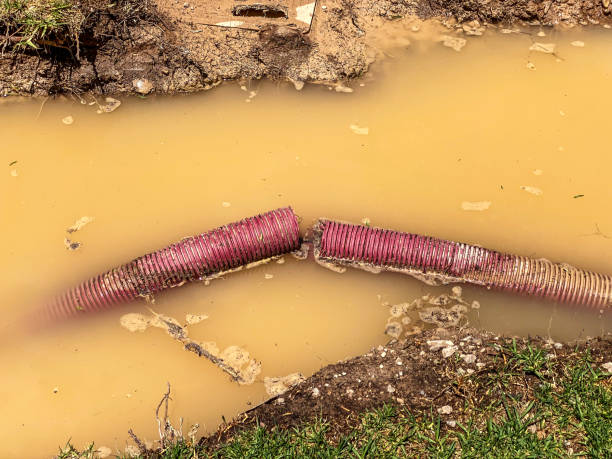 Water damage restoration experts in ID