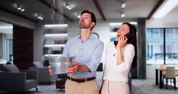 Best Flood damage cleanup  in Buhl, ID
